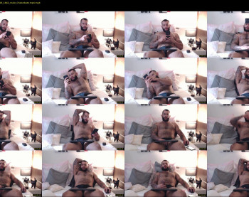 hapolohadess_2