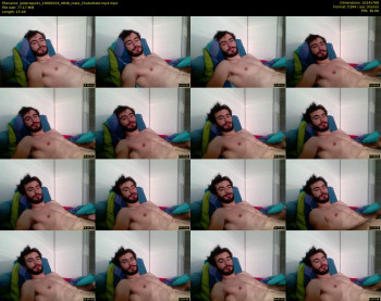 jestersquid1