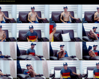 mateo_hawk_