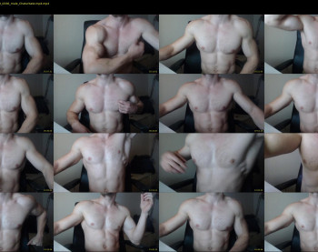 rippedandhigh
