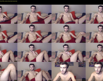 sexual_vibrations