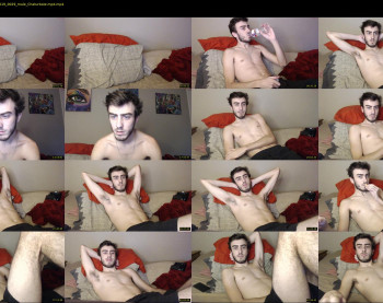 sexual_vibrations