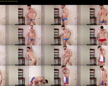 about_the_bulge
