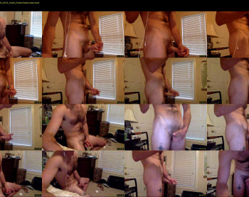 austinpatrick94