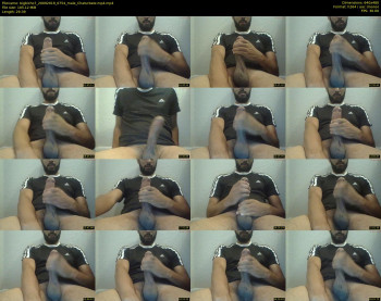bigbicho7