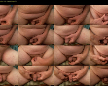 chief_little_dick