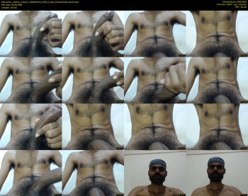 indian_cobra1