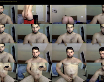 italianstallion252