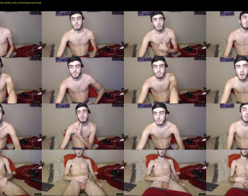 sexual_vibrations