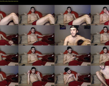 sexual_vibrations