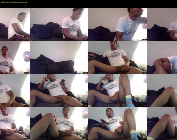 sharkdickwilly