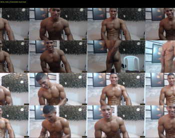 teddyfit19cm