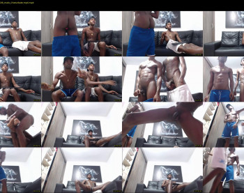 tyrom_flow