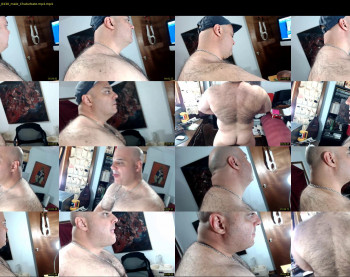 bullmusclejoe