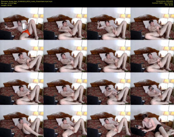 bussy_bee