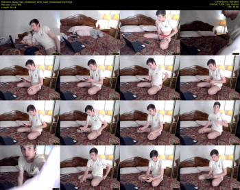bussy_bee