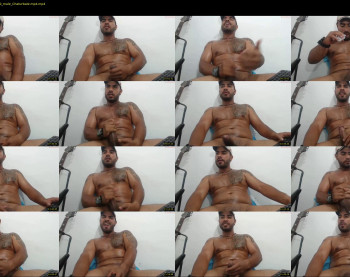 fenix_fox