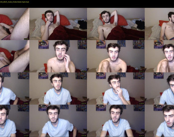 sexual_vibrations