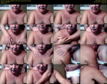 tbear66
