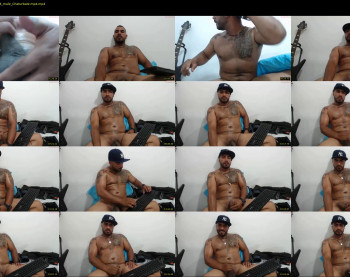 fenix_fox