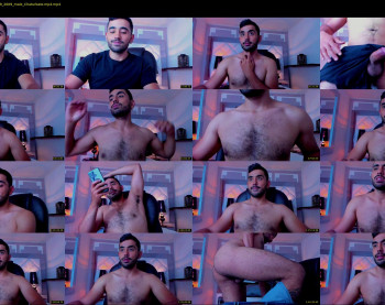 hornybull4ever