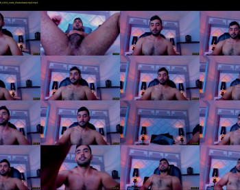 hornybull4ever