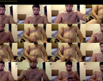 italianstallion252