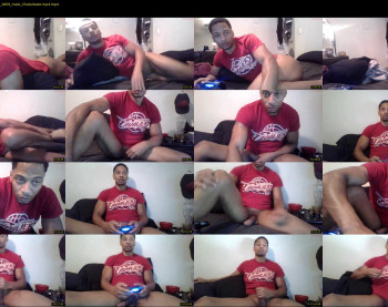 sharkdickwilly