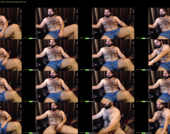 thebadbear07
