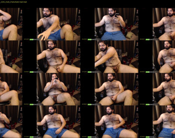thebadbear07