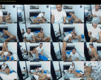 twobigdick_pig