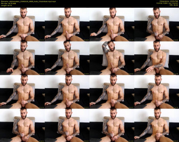 alphamatteo