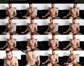 alphamatteo