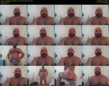 bigbeefusa