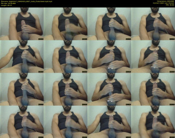bigbicho7