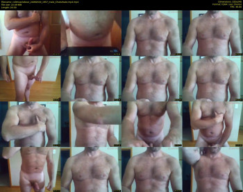 coltmusclebear