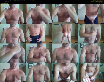 coltmusclebear