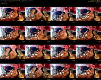 italianbigstallion