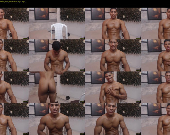 teddyfit19cm