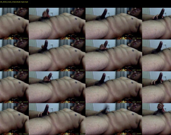 bangalore_cock_