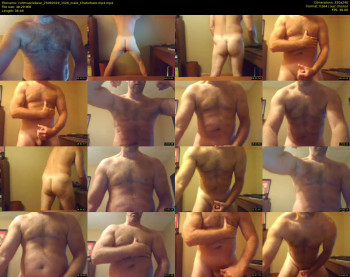 coltmusclebear