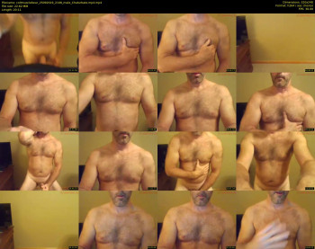 coltmusclebear