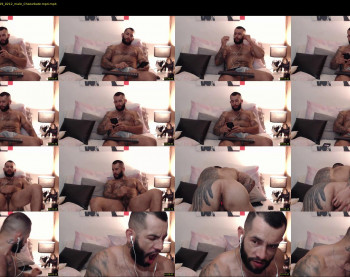 hapolohadess_2