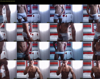 teddyfit19cm