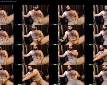 thebadbear07