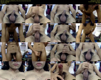 wildhoney4