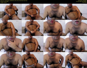 alexlatinbear