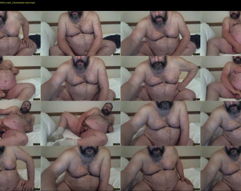 bearsteve75