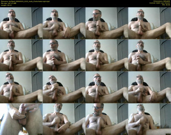bulllgod
