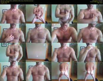coltmusclebear